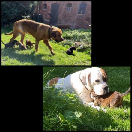 Wir wurden am 14.08.2022 geboren. Die Reise in unser