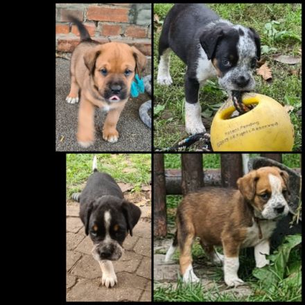 Wir wurden am 14.08.2022 geboren. Die Reise in unser