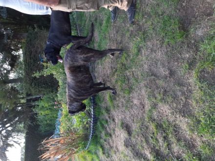 Hero, Ich heiße hero und suche auf diesem Weg ein neues