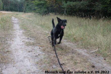 Huhu ihr da draußen! Ich bin Clark und habe eine Frage