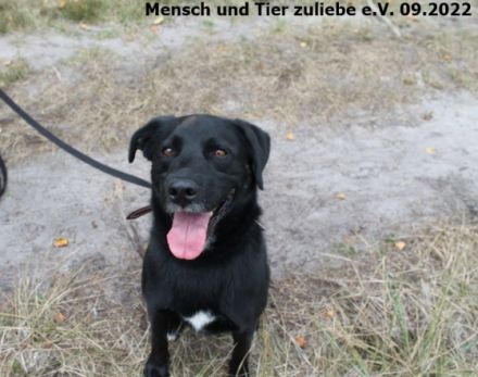 Huhu ihr da draußen! Ich bin Clark und habe eine Frage