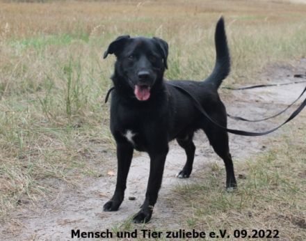 Huhu ihr da draußen! Ich bin Clark und habe eine Frage