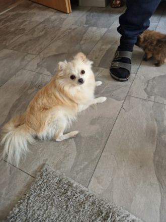 Hallo zusammen, hiermit möchte ich ein schönes zu Hause