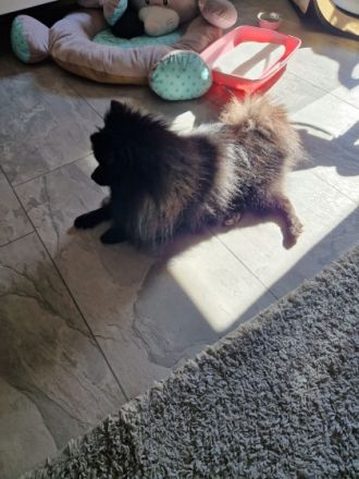 Hallo zusammen, hiermit möchte ich ein schönes zu Hause