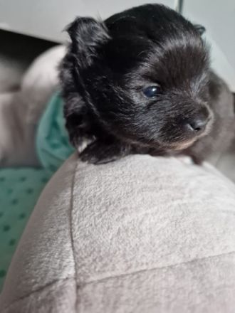 Hallo zusammen, hiermit möchte ich ein schönes zu Hause