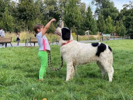 CHS Bílský lev akzeptiert Reservierungen für Landseer