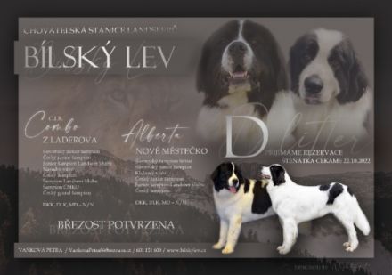 CHS Bílský lev akzeptiert Reservierungen für Landseer