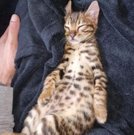 Aus Privaten Gründen muss ich mich leider von Freya