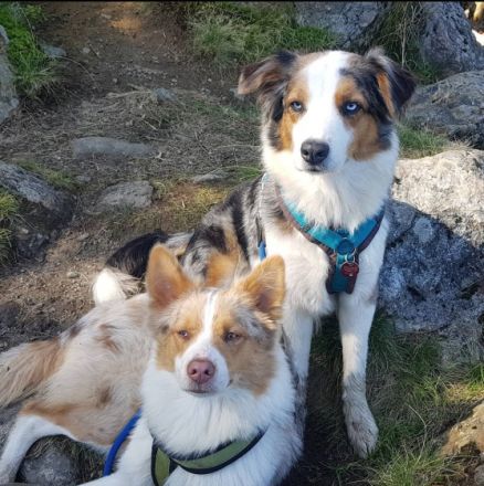 Shelly & Mira, Muss mich leider aus Privaten Gründen