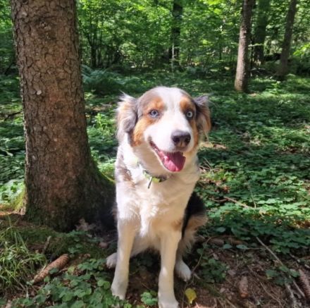 Shelly & Mira, Muss mich leider aus Privaten Gründen