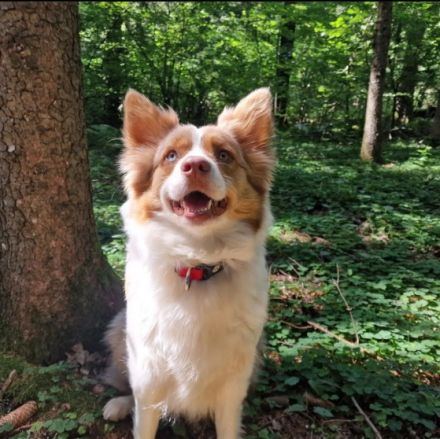 Shelly & Mira, Muss mich leider aus Privaten Gründen