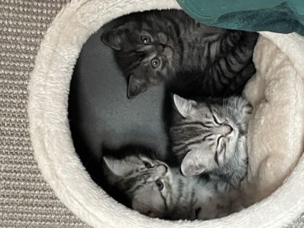 Moinsen, diese kleinen Wunderkrümel sind am 08.08.22