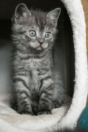 Moinsen, diese kleinen Wunderkrümel sind am 08.08.22