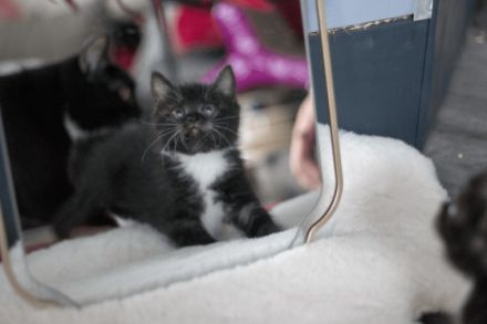 Moinsen, diese kleinen Wunderkrümel sind am 08.08.22