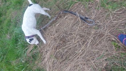 Mulle, Hallo ich bin am 30.03.2021 geboren ich liebe