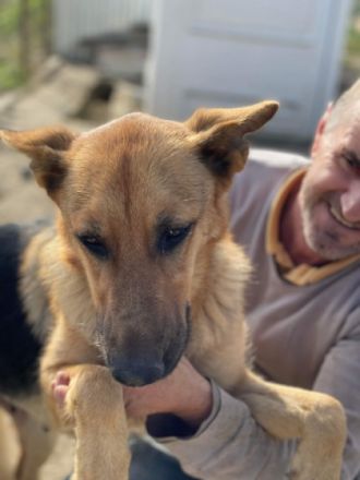 SOS für die wundervolle sanfte Anka geb. ca. 2019/2018,