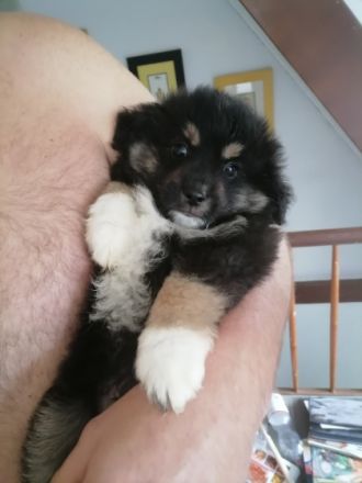 Ein herzliches Hallo, Wir sind eine bunte Truppe aus