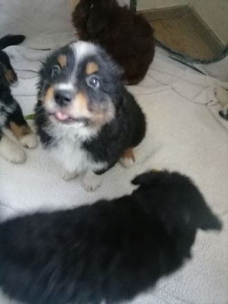 Ein herzliches Hallo, Wir sind eine bunte Truppe aus