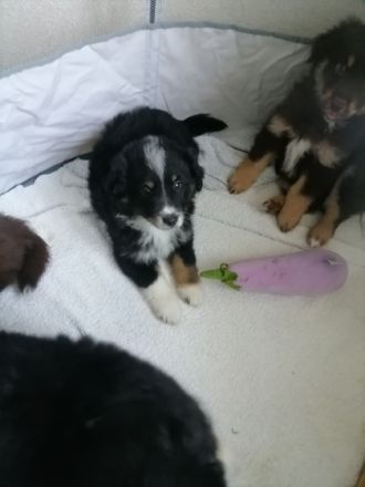 Ein herzliches Hallo, Wir sind eine bunte Truppe aus