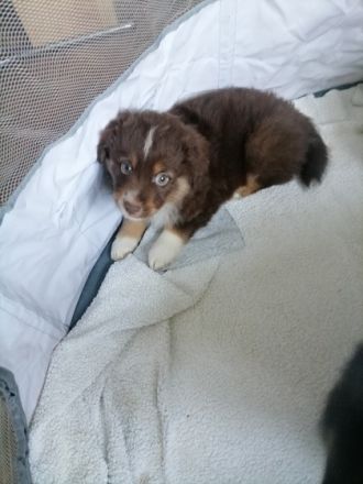 Ein herzliches Hallo, Wir sind eine bunte Truppe aus