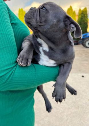 Diese traumhafte kleine Prinzessin sucht ihr