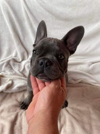 Diese traumhafte kleine Prinzessin sucht ihr