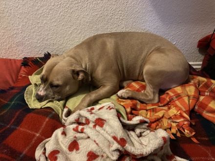 Narla muss dringend aus privaten Gründen und schweren