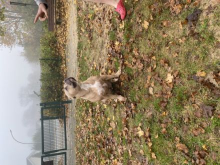 Narla muss dringend aus privaten Gründen und schweren