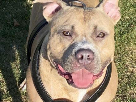 Narla muss dringend aus privaten Gründen und schweren