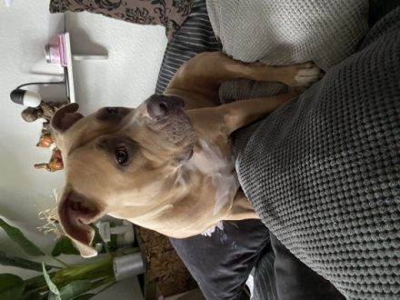 Narla muss dringend aus privaten Gründen und schweren