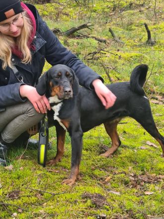 Jolene - Sportskanone sucht liebevolles Zuhause🏡