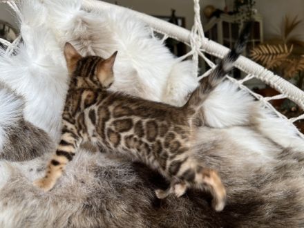 Mini Designer Wärmflaschen suchen ein neues Zuhause.