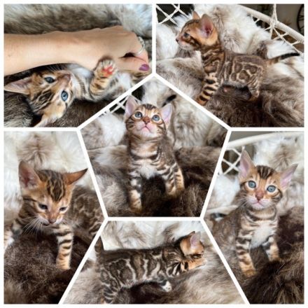 Mini Designer Wärmflaschen suchen ein neues Zuhause.