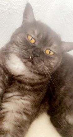 Leider müssen wir uns auch von unserem geliebten Pasa