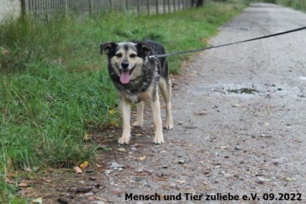 Benji wurde ca. 2016 geboren und ist ca. 45 cm groß. Er