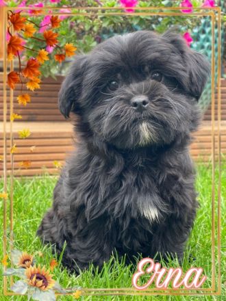 Der Sommer neigt sich nun dem Ende zu. Eine