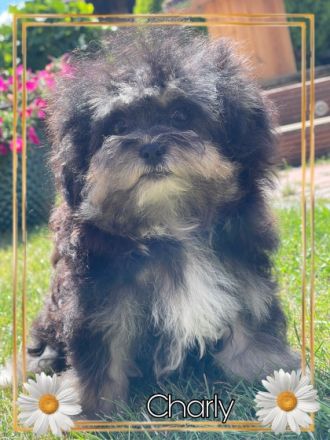 Der Sommer neigt sich nun dem Ende zu. Eine