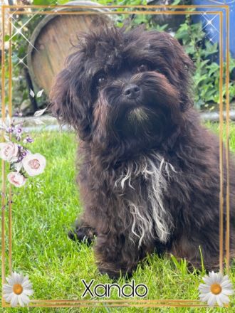 Der Sommer neigt sich nun dem Ende zu. Eine