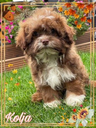 Der Sommer neigt sich nun dem Ende zu. Eine