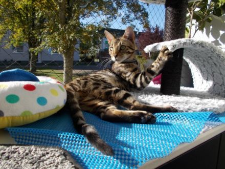 Leon ist am 11,02,2022 geboren. Hat traumhaft schöne