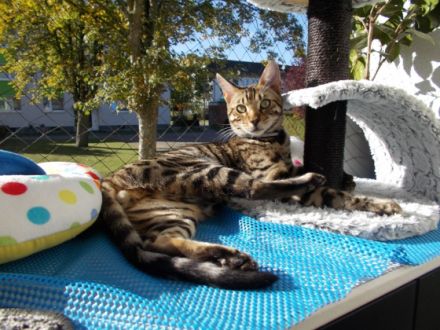 Leon ist am 11,02,2022 geboren. Hat traumhaft schöne