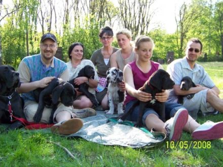 Hundeplatz Panta-rhei