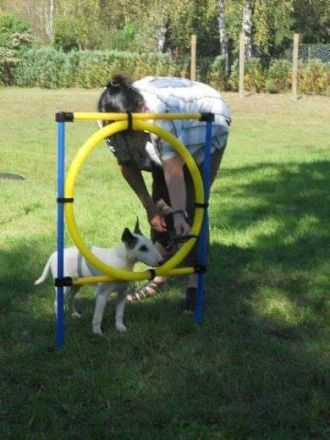 Hundeplatz Panta-rhei