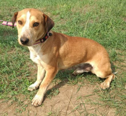 Otto- Wer erklärt mir die Menschenwelt?