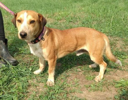 Otto- Wer erklärt mir die Menschenwelt?