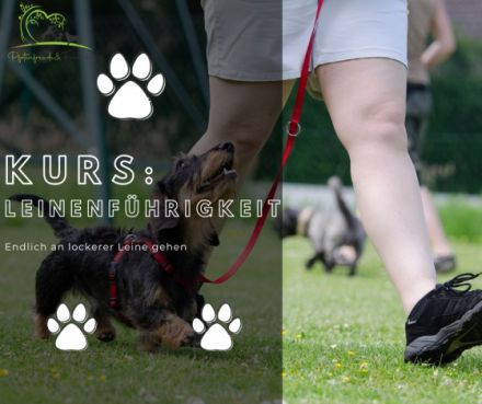 Pfotenfreude&Friends