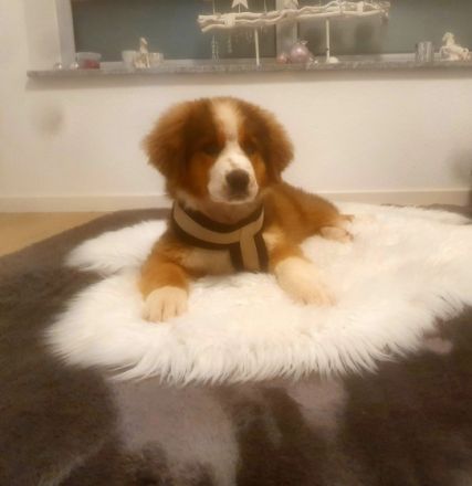 Schweren Herzens müssen wir uns nach knapp 5 Wochen von