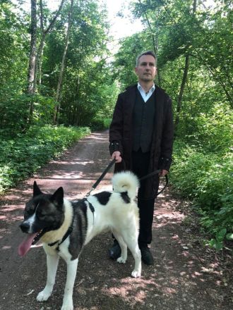 American-Akita Familien-, Wach- und Begleithunde