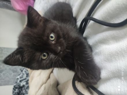 Hallöchen ihr Lieben, wenn ihr auf der Suche nach einem