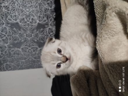 Hallöchen ihr Lieben, wenn ihr auf der Suche nach einem